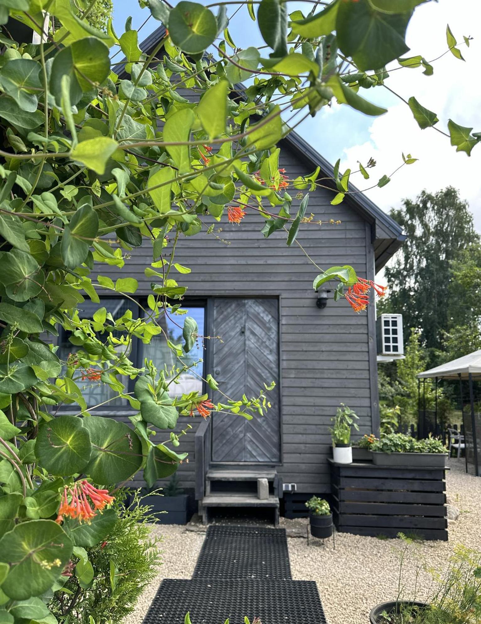 Amazing Little House On An Island With Garden Villa Riga Bagian luar foto